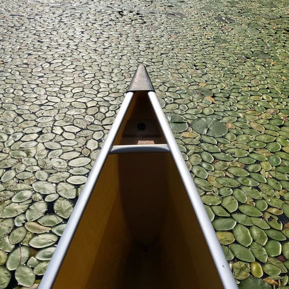 Meet your Posher, Audrey - Picture 1 of 1